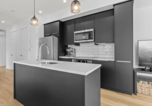 Condo for sale - 1256 Boul. De Maisonneuve E., Montreal (East), H2L 2A3