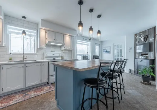 House for sale - 4955 Rue Eusèbe-Lemaire, Drummondville, J2E 1N7