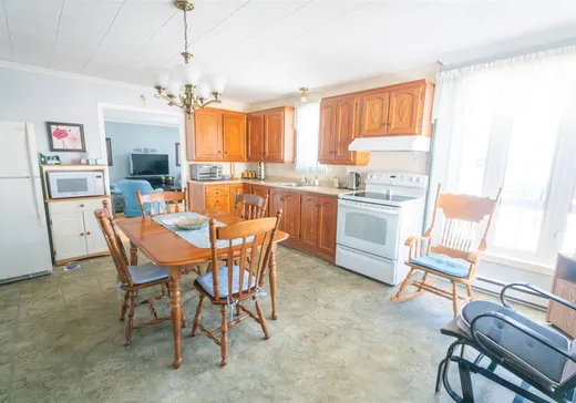 Maison à vendre - 6 Rue St-André, Sainte-Anne-de-Beaupré, G0A 3C0