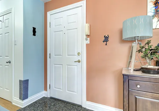 Condo for sale - 3696 Boul. St-Joseph E., Montreal (Rosemont–La Petite-Patrie), H1X 1W6