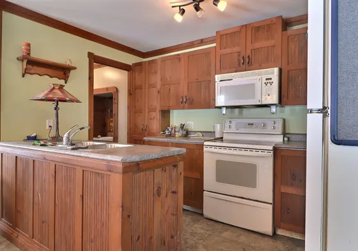 Maison à vendre - 65 Rue Chabot, Plessisville, G6L 2Y4