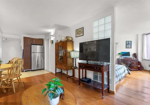 Condo for sale - 1077 Rue St-Mathieu, App. 561, Montreal (Downtown), H3H 2S4