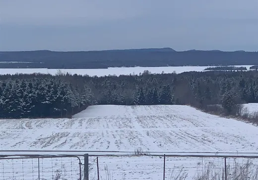 Maison à vendre - 110 Rue Principale, Notre-Dame-des-Pins, G0M 1K0