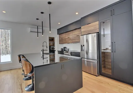 Maison à vendre - 208 Rue du Chêne-Rouge, Magog, J0B 2C0