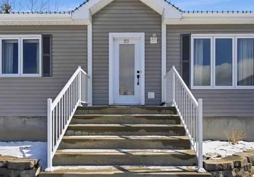 House for sale - 213 Rue de la Rivière, Sainte-Brigitte-des-Saults, J0C 1E0