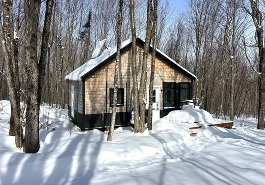 1 1/2 Storey for sale - 49 Ch. du Soleil, Notre-Dame-Des-Boies, J0B2E0