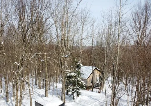 House for sale - 49 Ch. du Soleil, Notre-Dame-Des-Boies, J0B 2E0