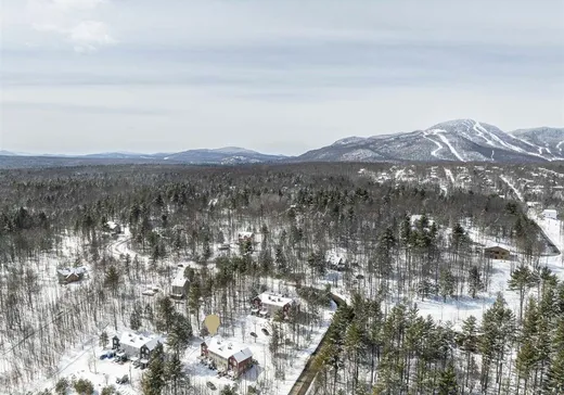 Maison à vendre - 13 Rue des Quatre-Vents, Magog, J1X 7P1