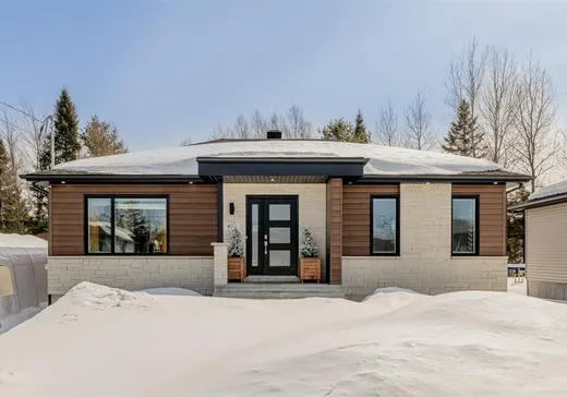 Maison à vendre - 974 Rue Fiset, Saint-Raymond, G3L 2C7