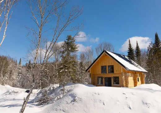 Maison à vendre - 393 Ch. du Tour-du-Lac, Ste-Anne-Des-Lacs, J0W 1V0