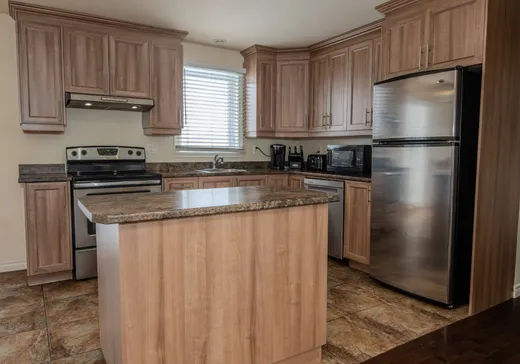 Maison à vendre - 3 Rue Sonia, Victoriaville, G6T 1K3