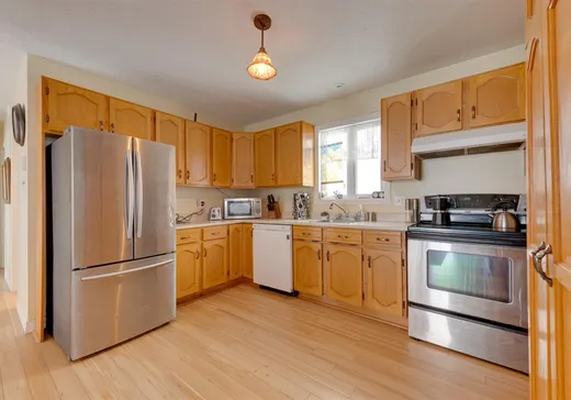 House for sale - 155 Ch. Dion, St-Francois-Xavier-de-Brompton, J0B 2V0