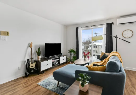 Condo for sale - 119 Rue Lalande, Longueuil, J4G 1X9