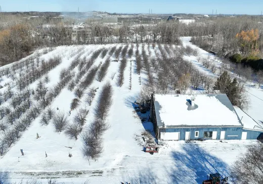 Hobby Farm for sale - 4305Z Rg du Haut-St-François, Laval (Duvernay), H7E 4P2