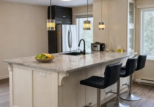 Maison à vendre - 40 Rue des Pinsons, St-Boniface-De-Shawinigan, G0X 2L0