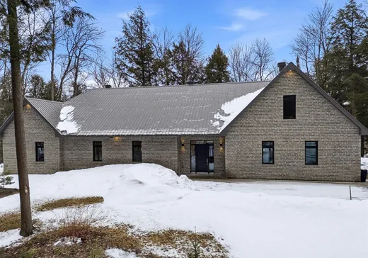 House for sale - 825 Rue du Terrier, St-Francois-Xavier-de-Brompton, J0B 2V0