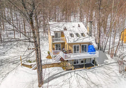 Maison à étages à vendre - 46 Ch. Mayer, Mansonville, J0E1X0