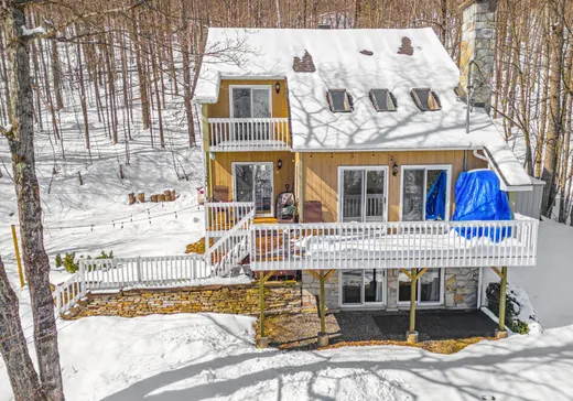 Maison à vendre - 46 Ch. Mayer, Mansonville, J0E 1X0