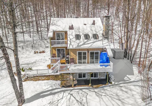 Maison à vendre - 46 Ch. Mayer, Mansonville, J0E 1X0