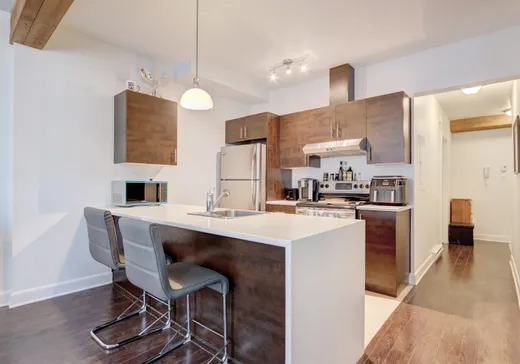 Condo à vendre - 500 Av. Duclos, Saint-Hyacinthe, J2S 4V9