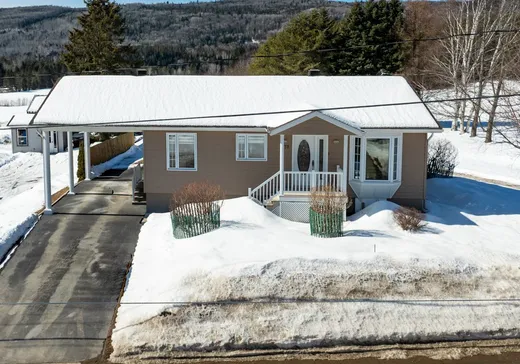 Maison à étages à vendre - 373 Rue St-Édouard, Saint-Urbain, G0A4K0