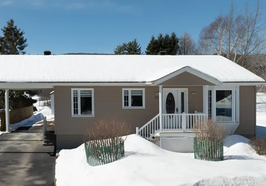 Maison à vendre - 373 Rue St-Édouard, Saint-Urbain, G0A 4K0