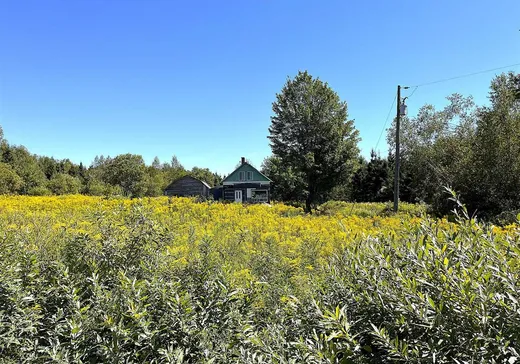 Maison à vendre - 81 Ch. Courtemanche, Wotton, J0A 1N0