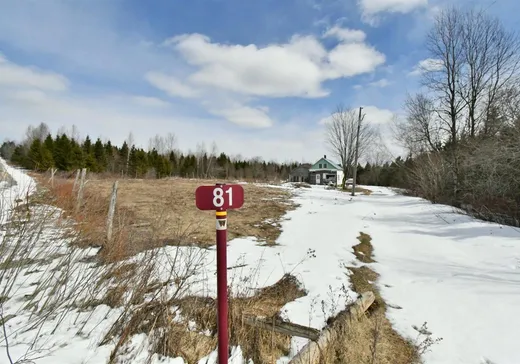 Maison à vendre - 81 Ch. Courtemanche, Wotton, J0A 1N0