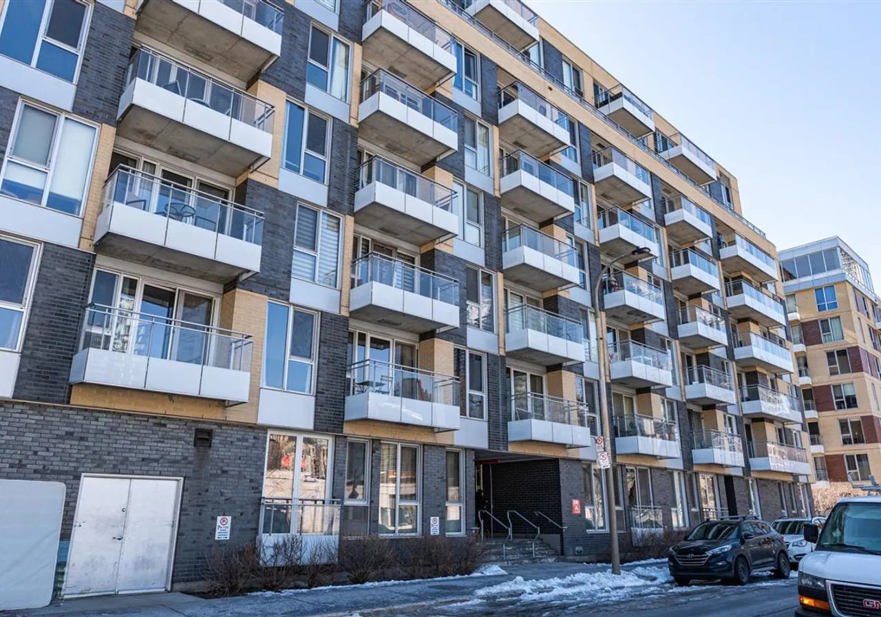 288 Rue Ann, App. 503 — photo 1