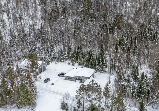 Maison à vendre - 1188 Route 125 N., St-Donat-De-Montcalm, J0T 2C0