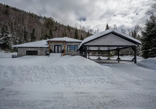 Maison à vendre - 1188 Route 125 N., St-Donat-De-Montcalm, J0T 2C0