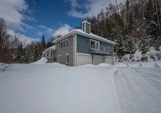 Maison à vendre - 1194 Route 125 N., St-Donat-De-Montcalm, J0T 2C0