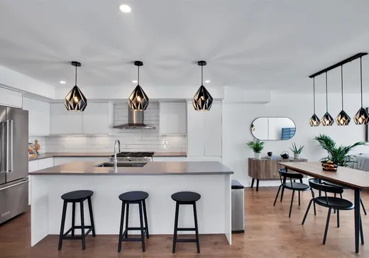 Condo for sale - 3199 Rue Bossuet, Montreal (Mercier/Hochelaga-Maisonneuve), H1N 2S8