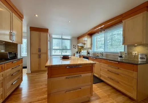 Maison à vendre - 133 Route du Long-Sault, Lachute, J0V 1X0