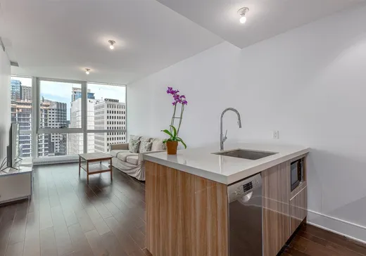 Condo à vendre - 1188 Av. Union, App. 1808, Montréal (Centreville), H3B 0E5