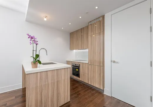 Condo à vendre - 1188 Av. Union, App. 1808, Montréal (Centreville), H3B 0E5