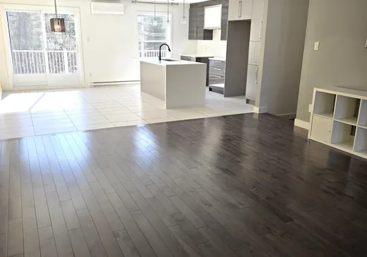 Maison à vendre - 602Z Boul. J.-André-Deragon, Cowansville, J2K 0H7