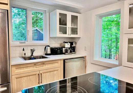 House for sale - 90 Rue des Cormiers, Magog, J1X 7A7