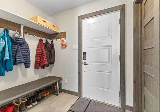 Condo à vendre - 153 Rue du Harfang-des-Neiges, Mont-Tremblant, J0T 1J2