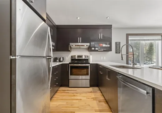 Condo à vendre - 153 Rue du Harfang-des-Neiges, Mont-Tremblant, J0T 1J2