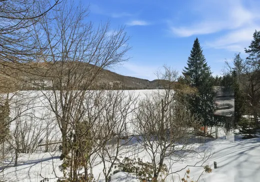Maison à vendre - 20 Ch. Ovila, Mont-Tremblant, J8E 2G8