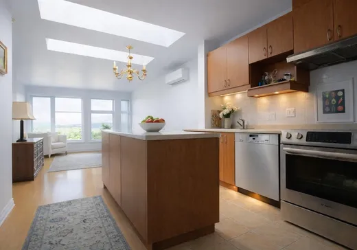 Condo à vendre - 418 Rue St-Roch, App. 7, Montréal (Villeray), H3N 1K3