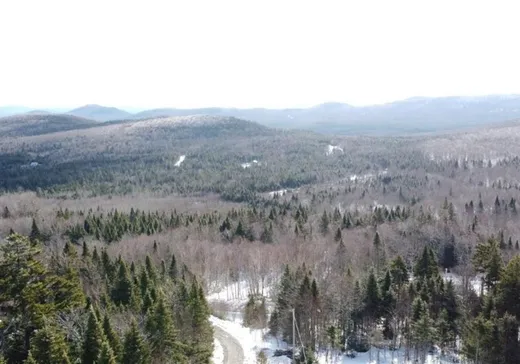 Maison à vendre - 107 Ch. du Raton-Laveur, Notre-Dame-Des-Boies, J0B 2E0