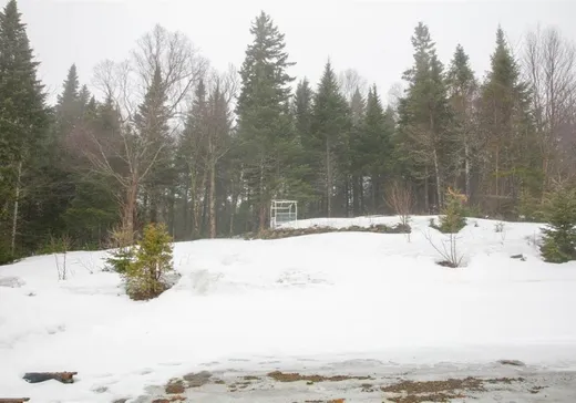 Maison à vendre - 107 Ch. du Raton-Laveur, Notre-Dame-Des-Boies, J0B 2E0