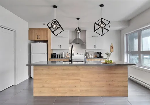 Condo for sale - 1035 Rue Principale, App. 203, St-Ferdinand, G0N 1N0