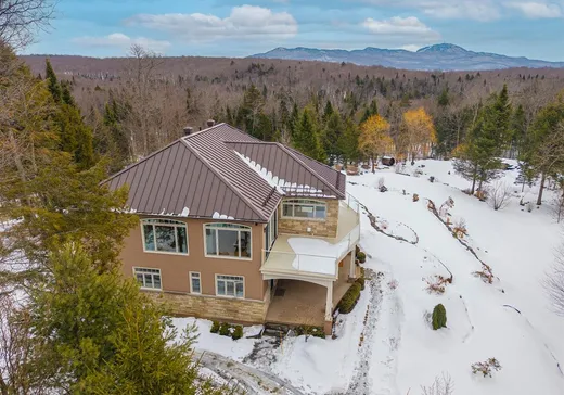 Maison à vendre - 30 Ch. des Barboteurs, Eastman, J0E 1P0