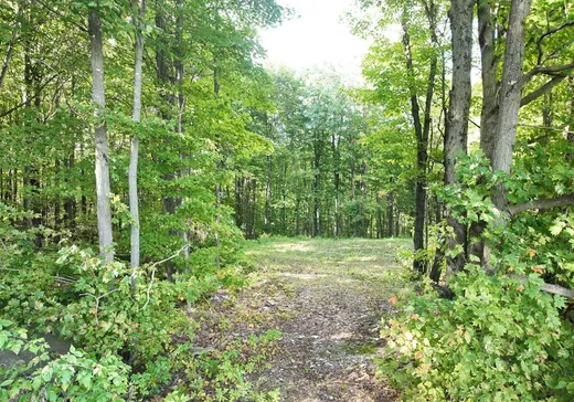 Fermette à vendre - 305Z 3e Rang E., St-Odilon, G0S 3A0