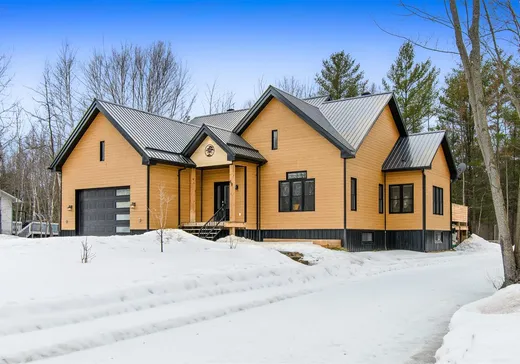 Bungalow for sale - 60 Rue Sauriol, Mansfield-et-Pontefract, J0X1R0