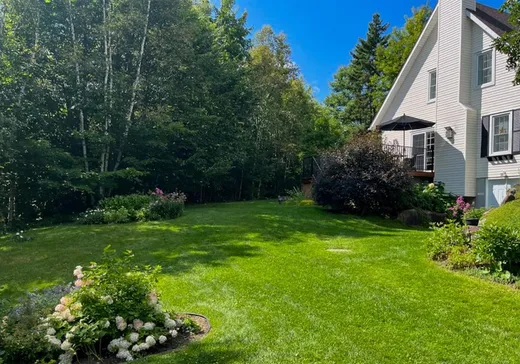 House for sale - 80 Ch. des Épinettes, Ste-Anne-Des-Lacs, J0R 1B0