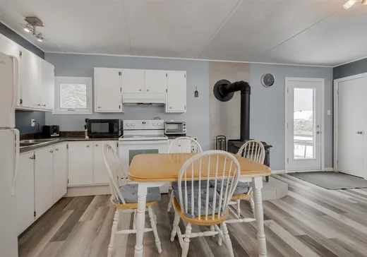 Loft à vendre - 931 Rue St-Jacques, Ste-Thecle, G0X 3G0